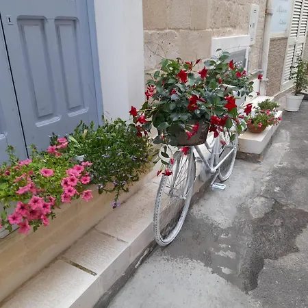 Tatil Evi Casa Ninu'