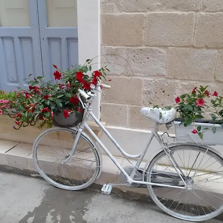 Hébergement de vacances Casa Ninu'