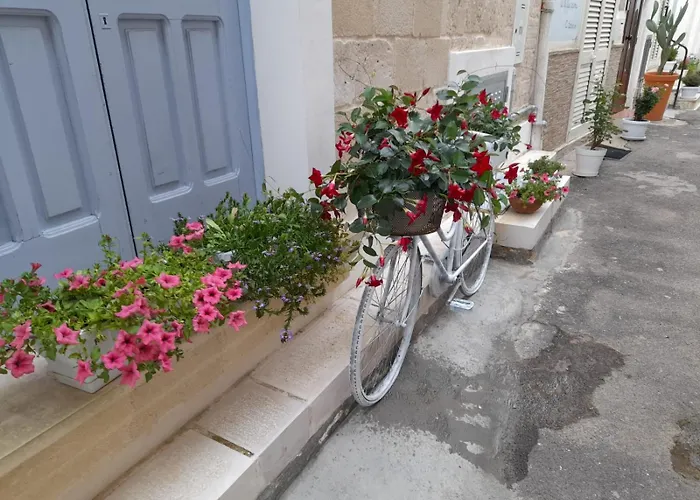 בית נופש Casa Ninu'