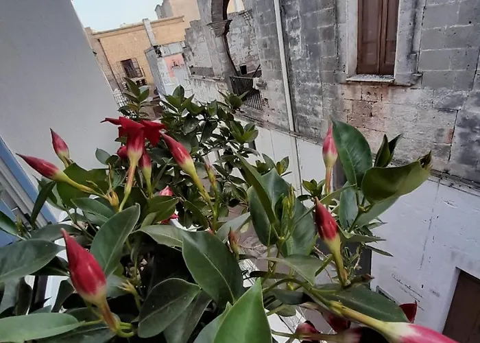 Casa Ninu' בית נופש